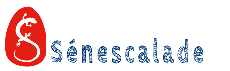 Logo Senescalade