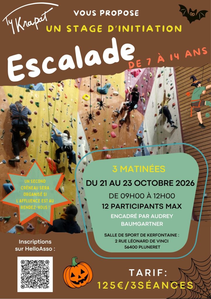 Affiche Stage escalade Toussaint